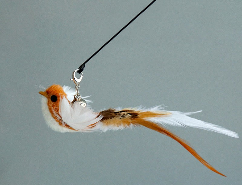 Cat Teaser Attachment - Birds