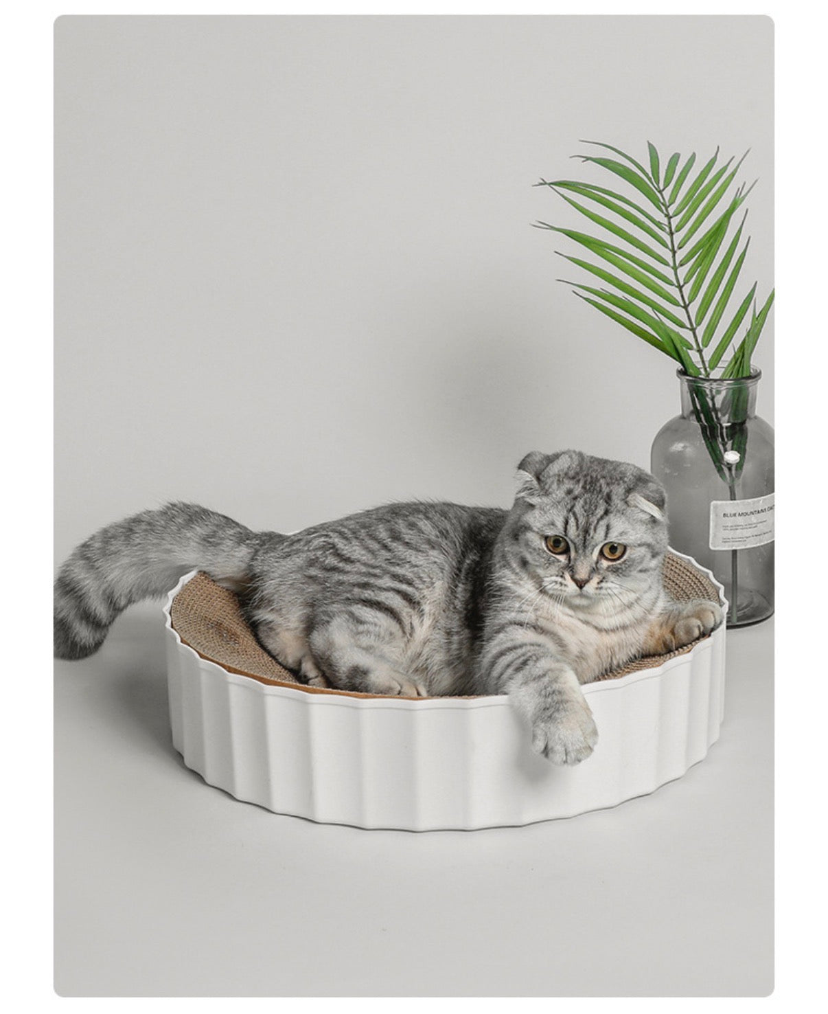 Cat Scratching Board - Replaceable Board