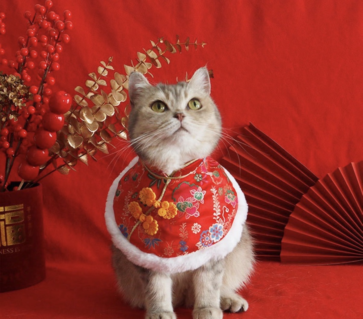 Chinese New Year Bandana - Red Botton