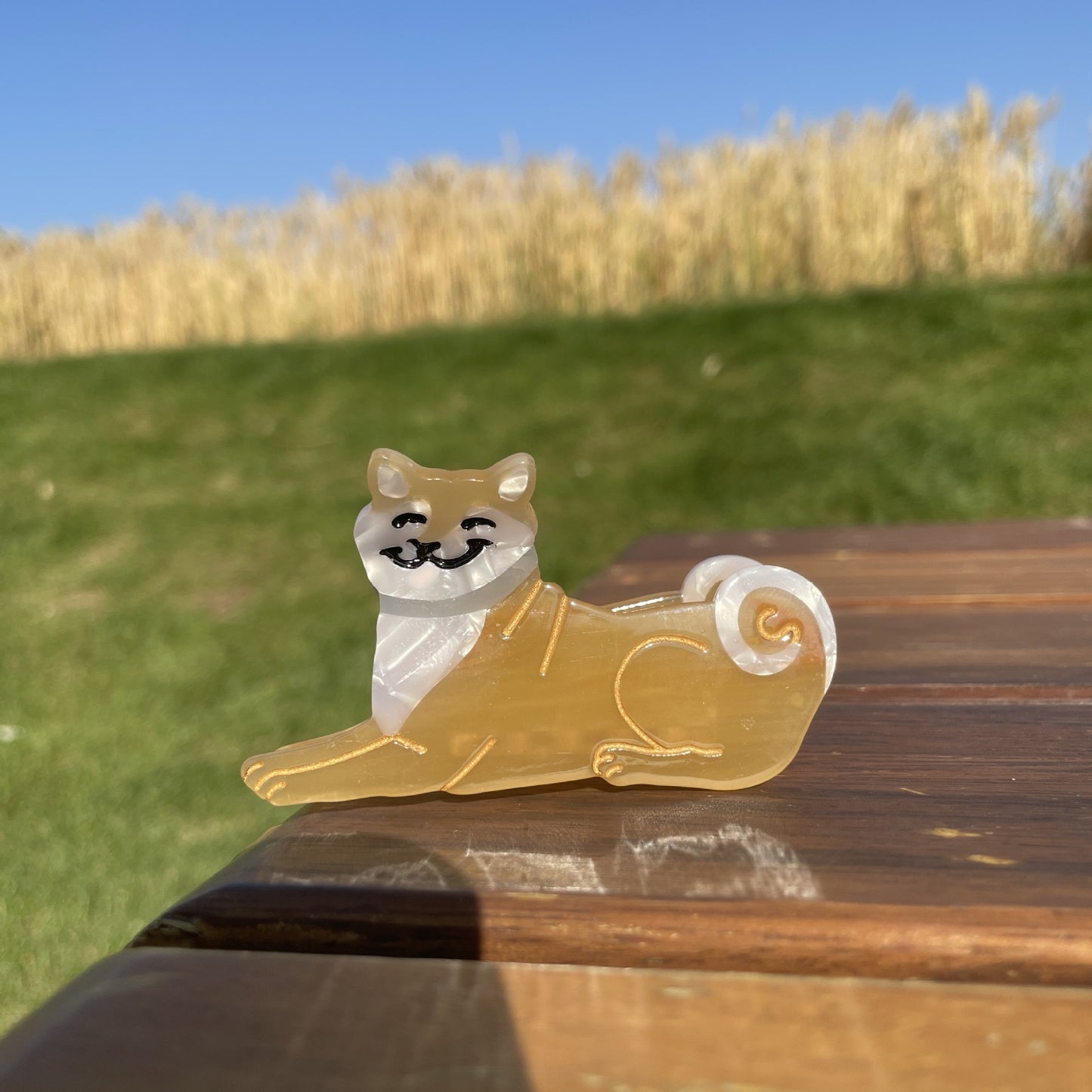 马卡龙领