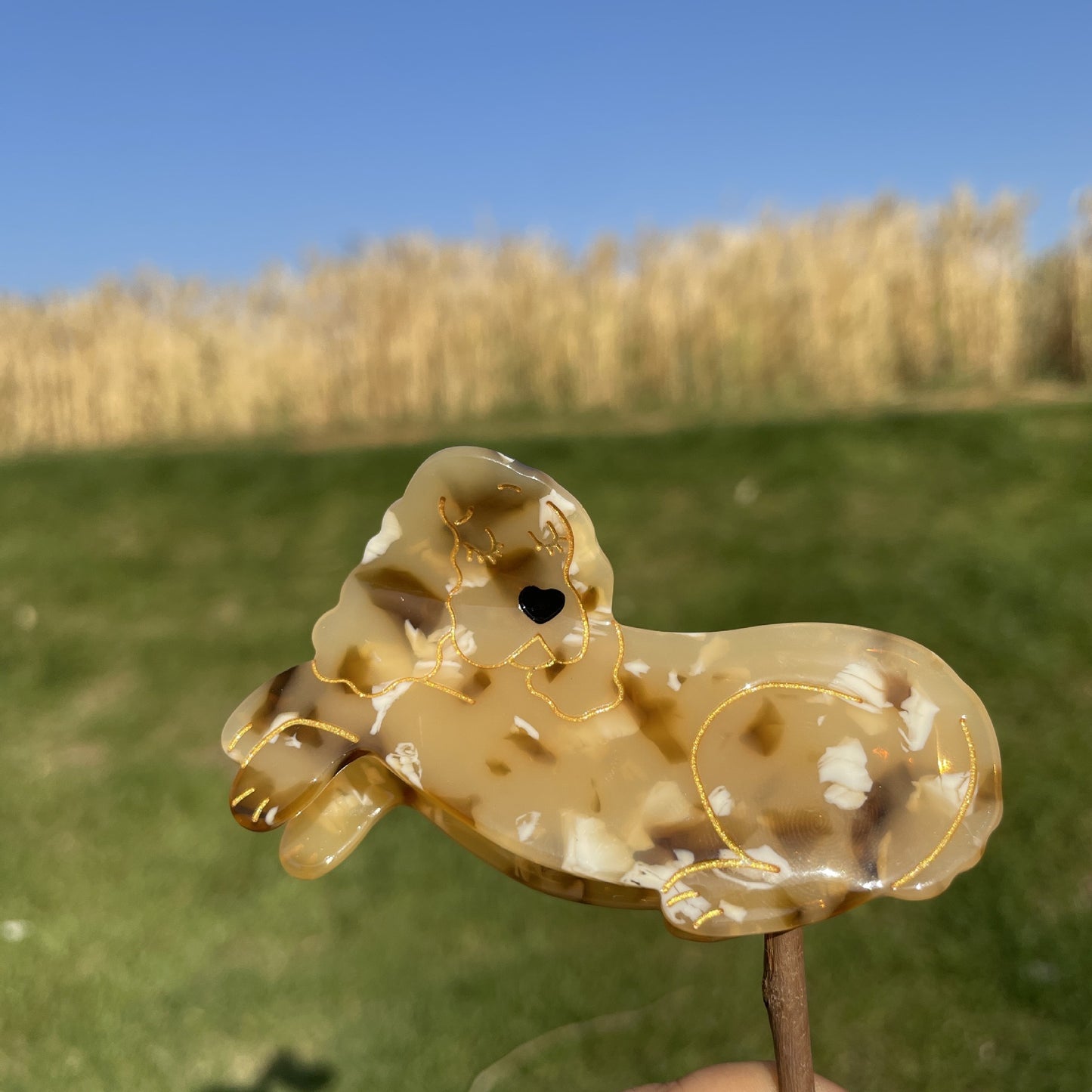 马卡龙领