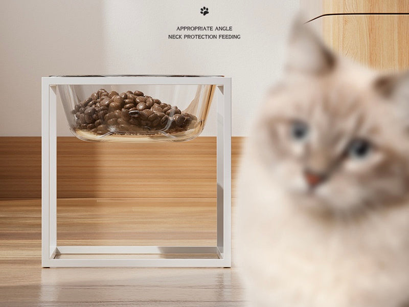 Glass Pet Elevated Bowl