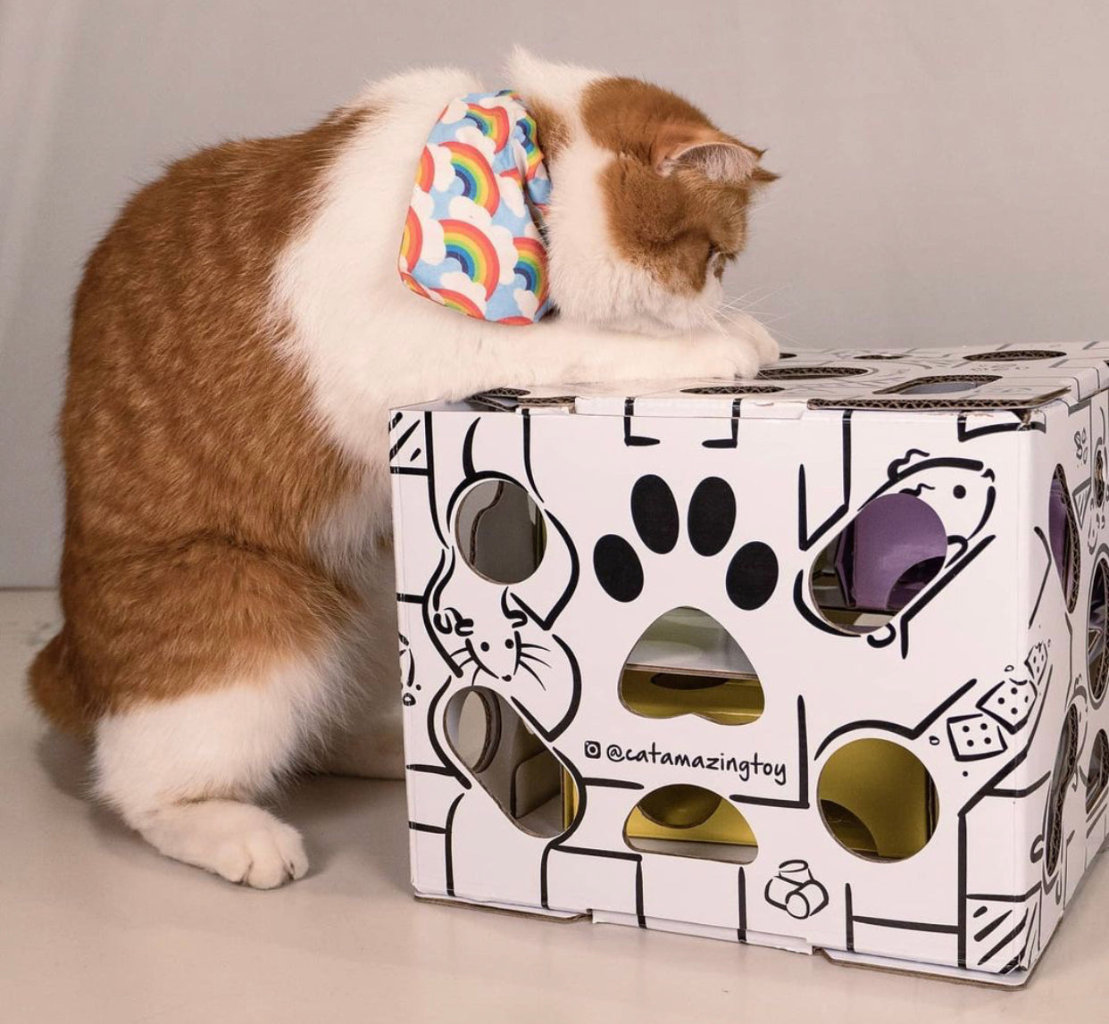 彩虹猫项圈