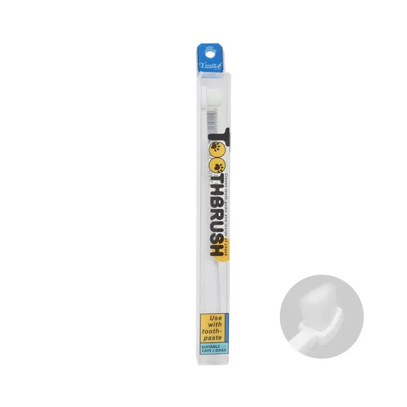 狗和猫牙刷软毛