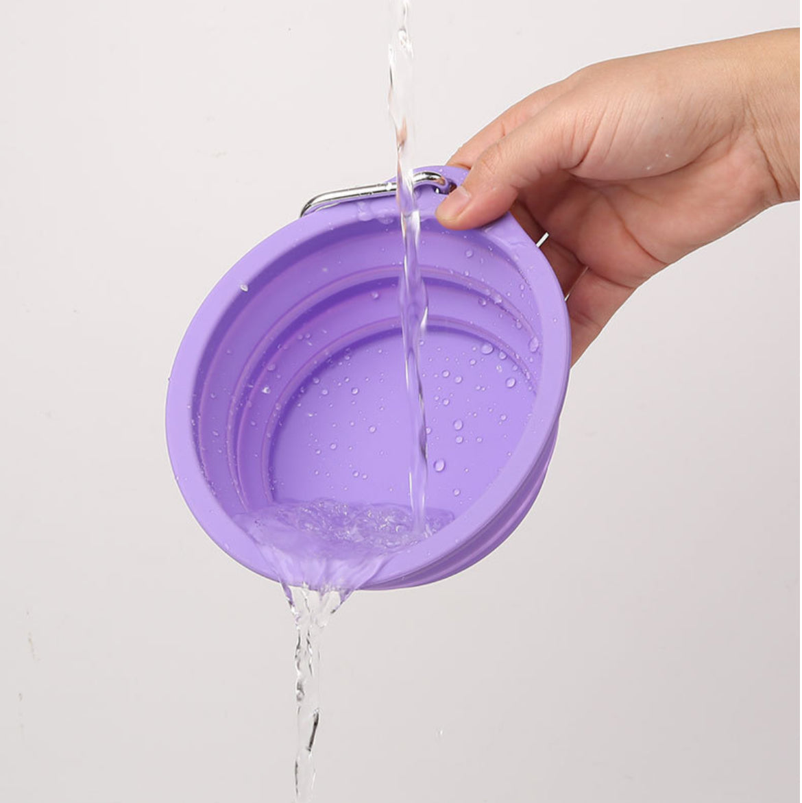 Collapsible Bowl