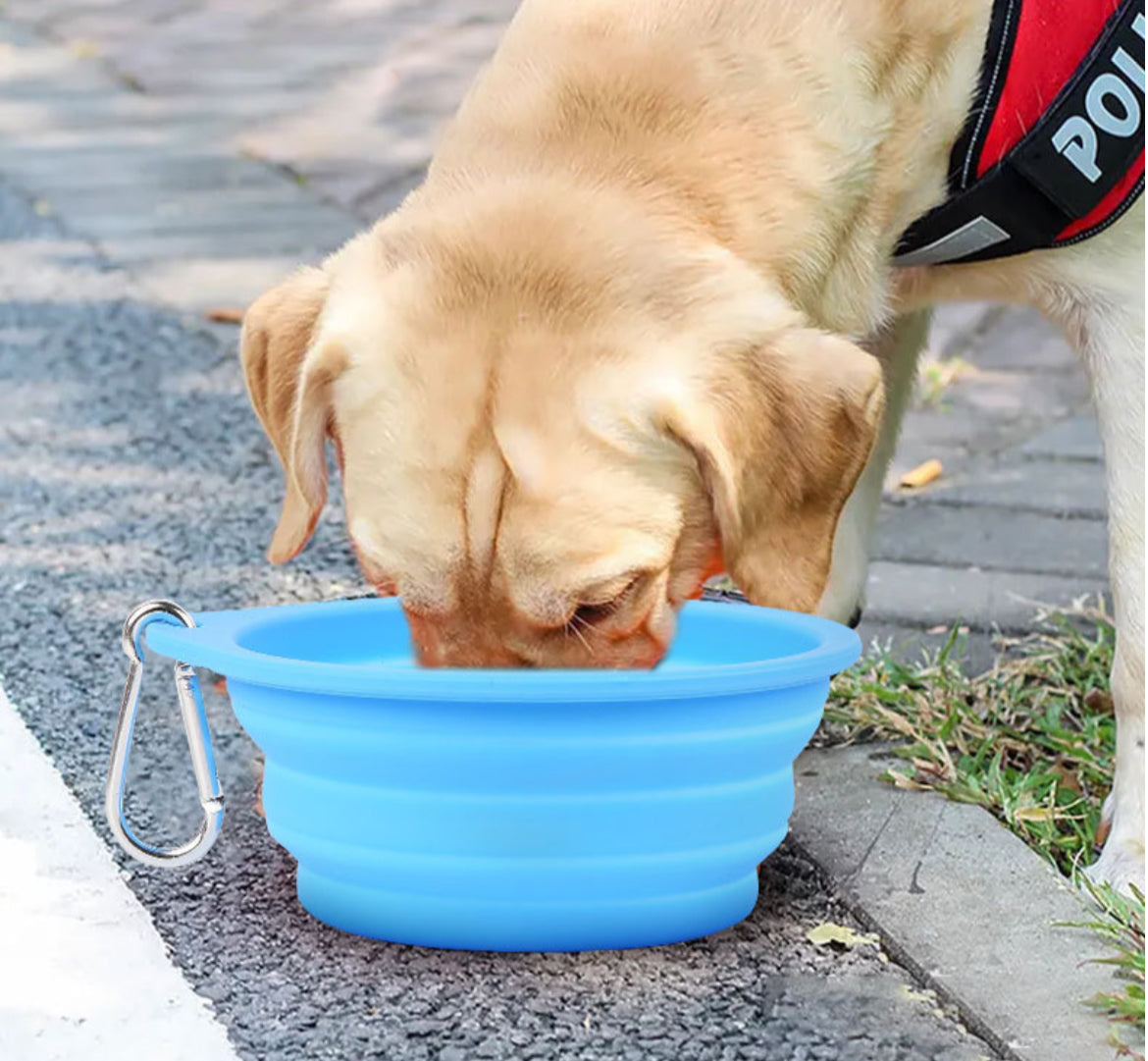 Collapsible Bowl