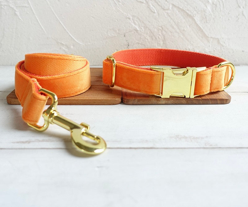 Orange Velour Collar Leash Bowtie