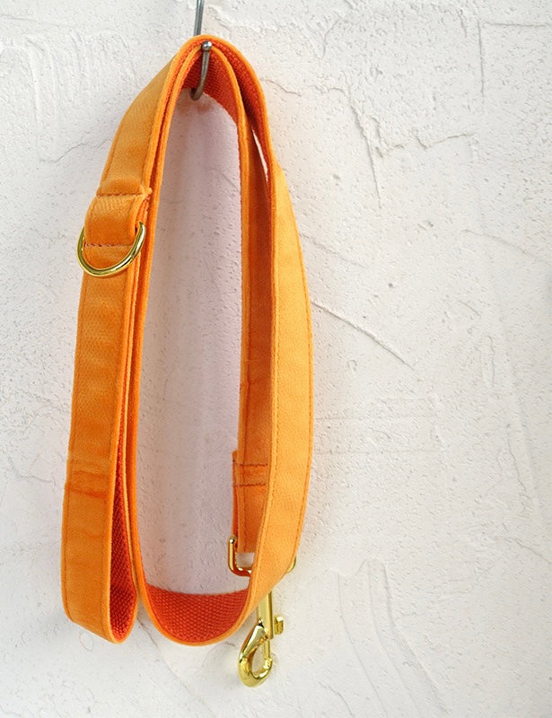 Orange Velour Collar Leash Bowtie