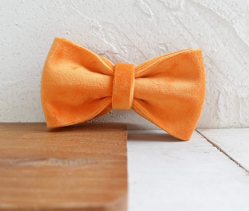Orange Velour Collar Leash Bowtie