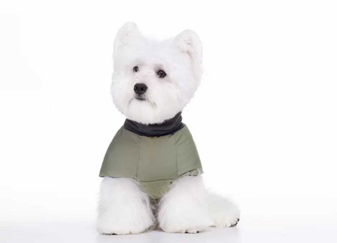 2 Colours Self Warming Winter Water Resistant Puffer Jacket Coat - Green | Cream