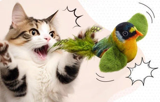 Real Bird Sound Cat Toys