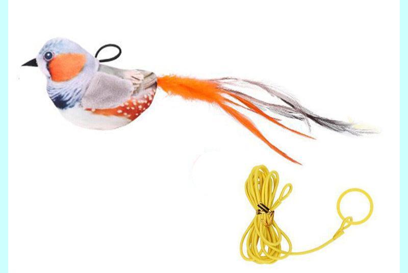 Real Bird Sound Cat Toys