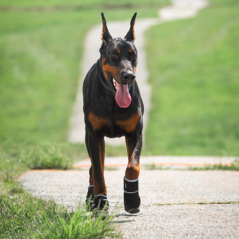 4PCS Dog Boots Paw Protector,Sports Non-Slip Pet Dog Anti-Slip Sole, Breathable Dog Booties Paw Protector for Hot Pavement Winter Snow Hiking Booties