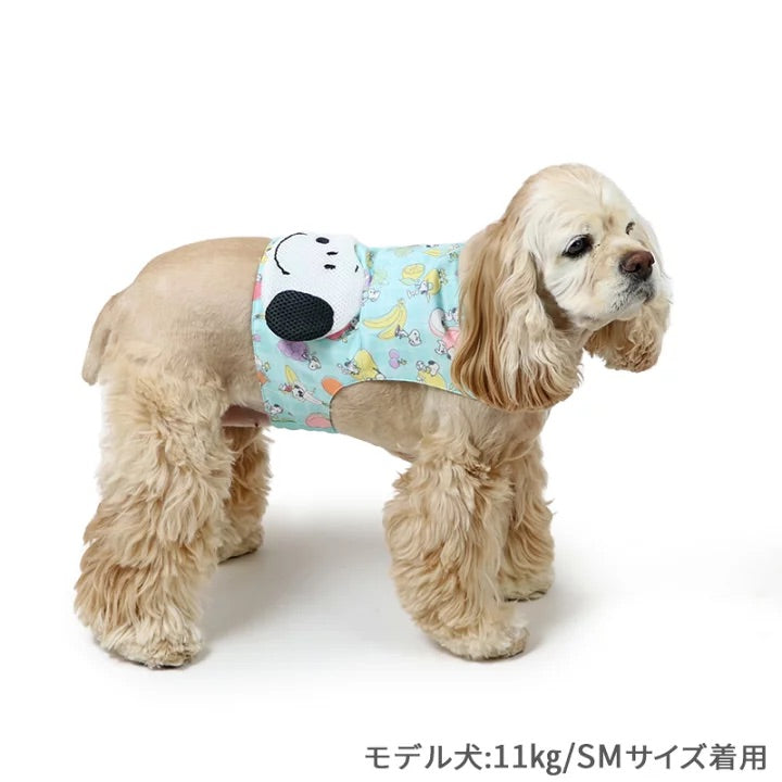 cool vest, Snoopy, ice pack, cool to the touch, pocket cool, refreshing, for walks
