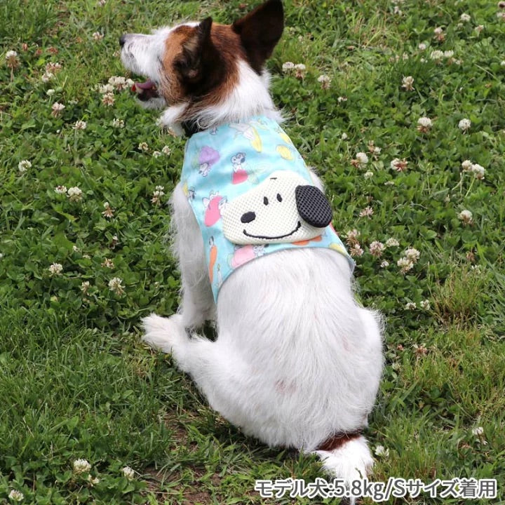 cool vest, Snoopy, ice pack, cool to the touch, pocket cool, refreshing, for walks