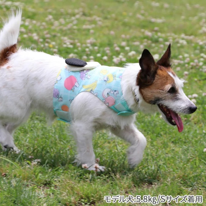 cool vest, Snoopy, ice pack, cool to the touch, pocket cool, refreshing, for walks