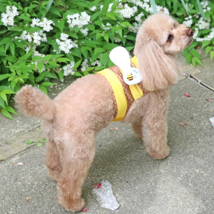 cool vest, Bee, ice pack, cool to the touch, pocket cool, refreshing, for walks