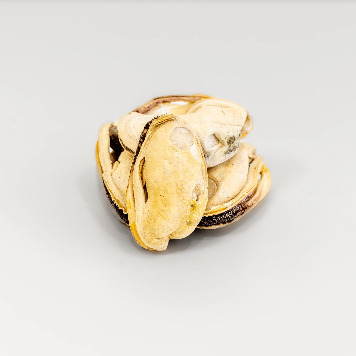 Green Lipped Mussels 60g | Rafa Freeze Dried