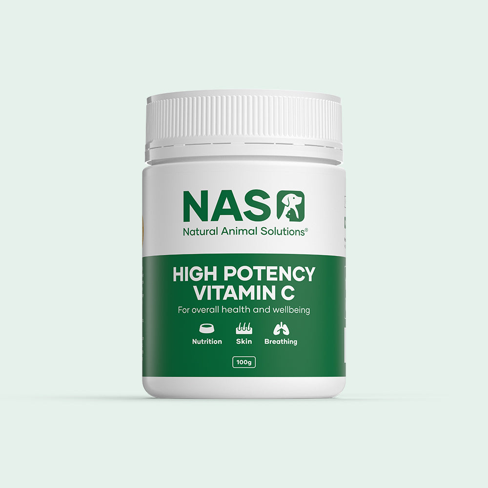 High Potency Vitamin C 100g