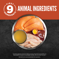 Orijen Chunks & Shreds | Salmon & Chicken 85g