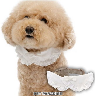 Cotton Lace Collar & Leash