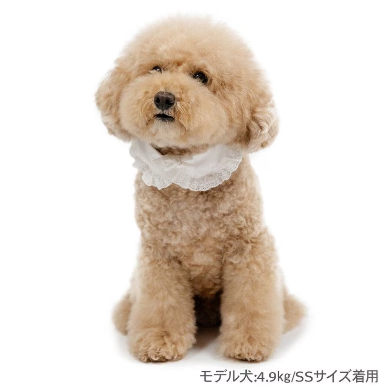 Cotton Lace Collar & Leash