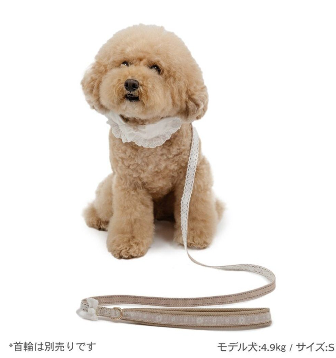 Cotton Lace Collar & Leash