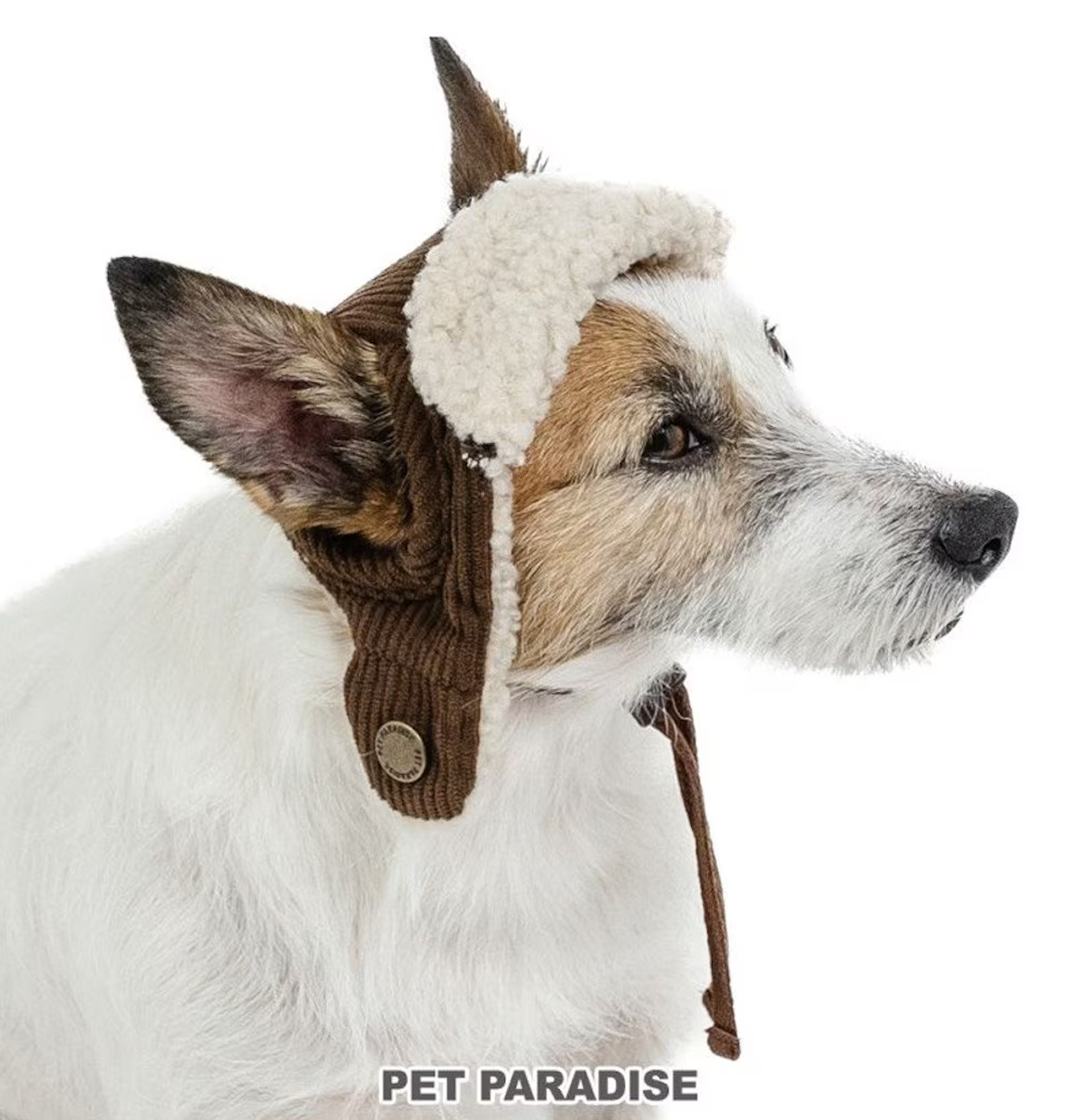 Dog clothes, winter, flight hat, boa, small and medium-sized dogs | Ranked #1, autumn and winter, warm, cute, cool, hat