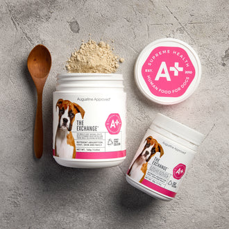 The Exchange 80g (formerly Dynacol Zeolite)