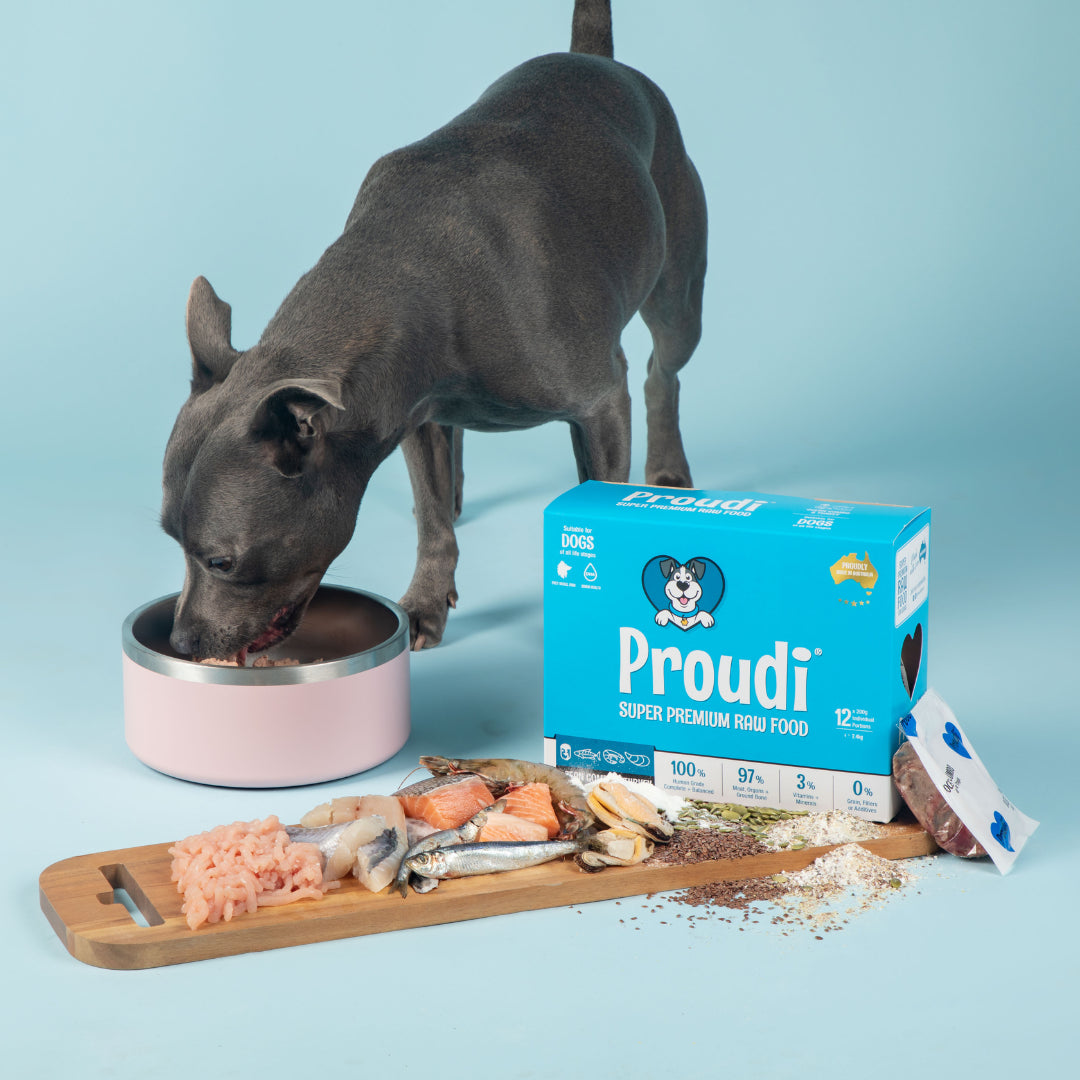 Proudi Dog Ocean Combo & Turkey