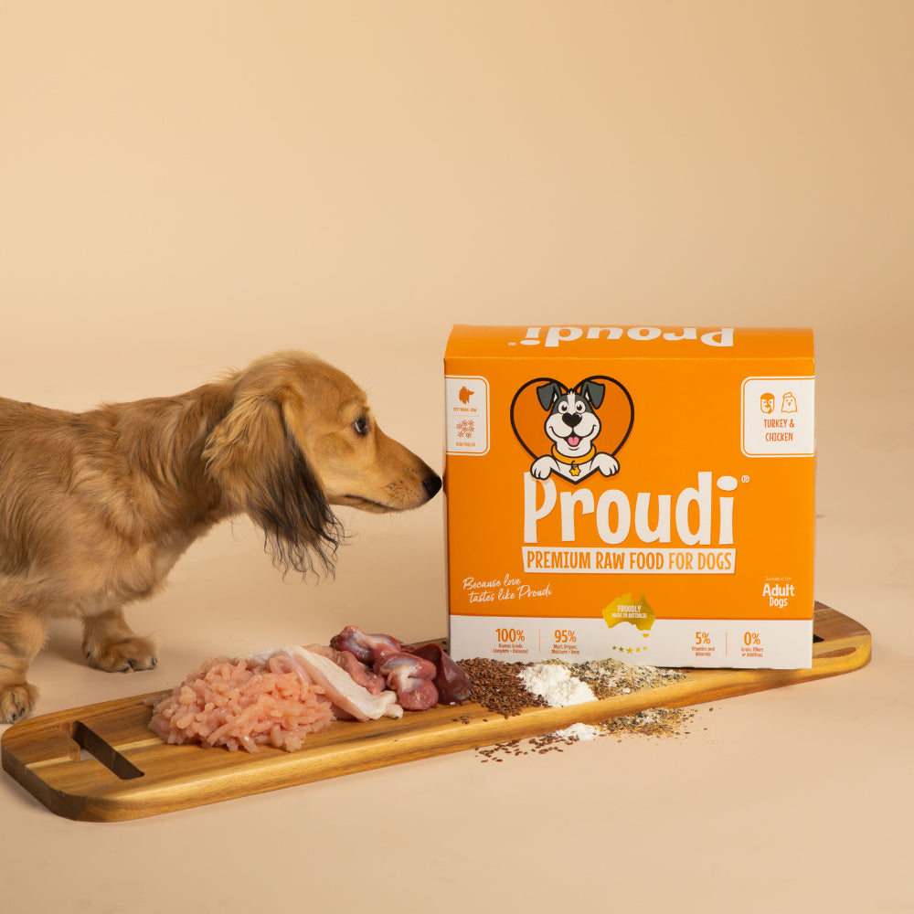 Proudi Dog Turkey & Chicken