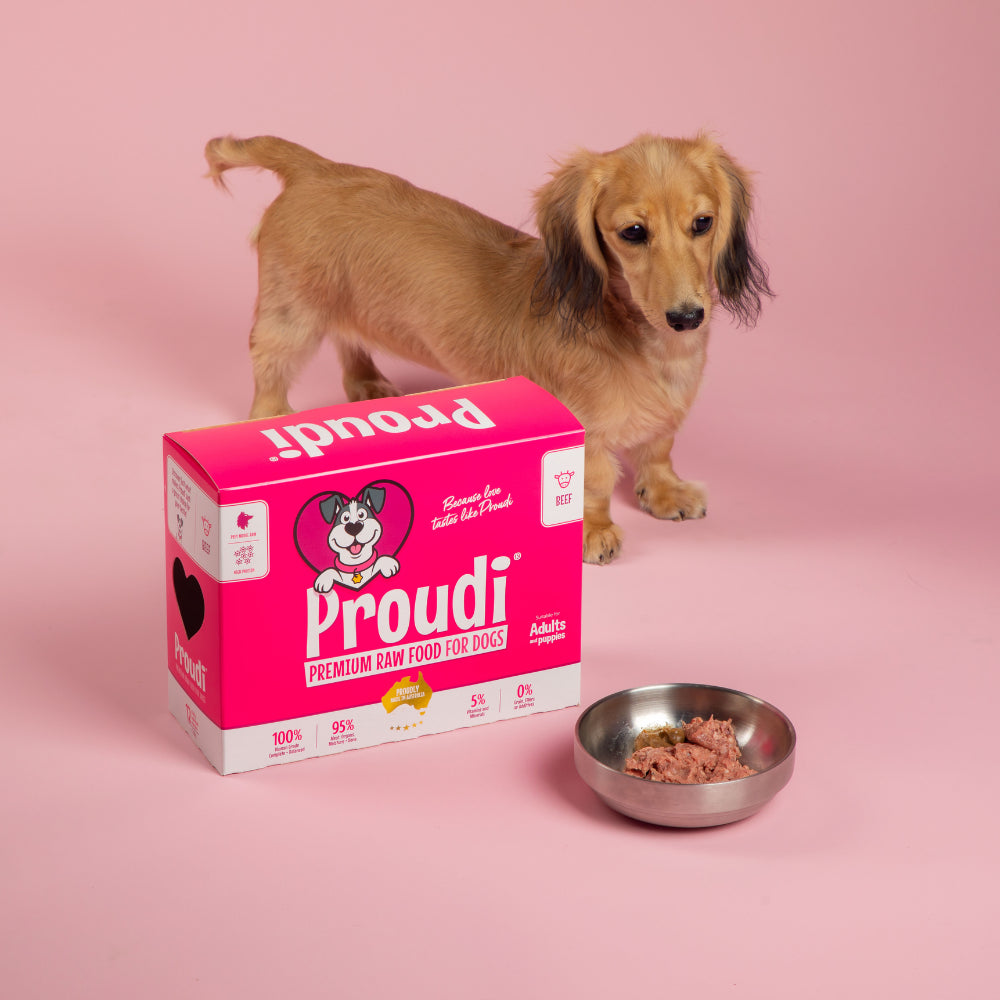 Proudi Dog Beef