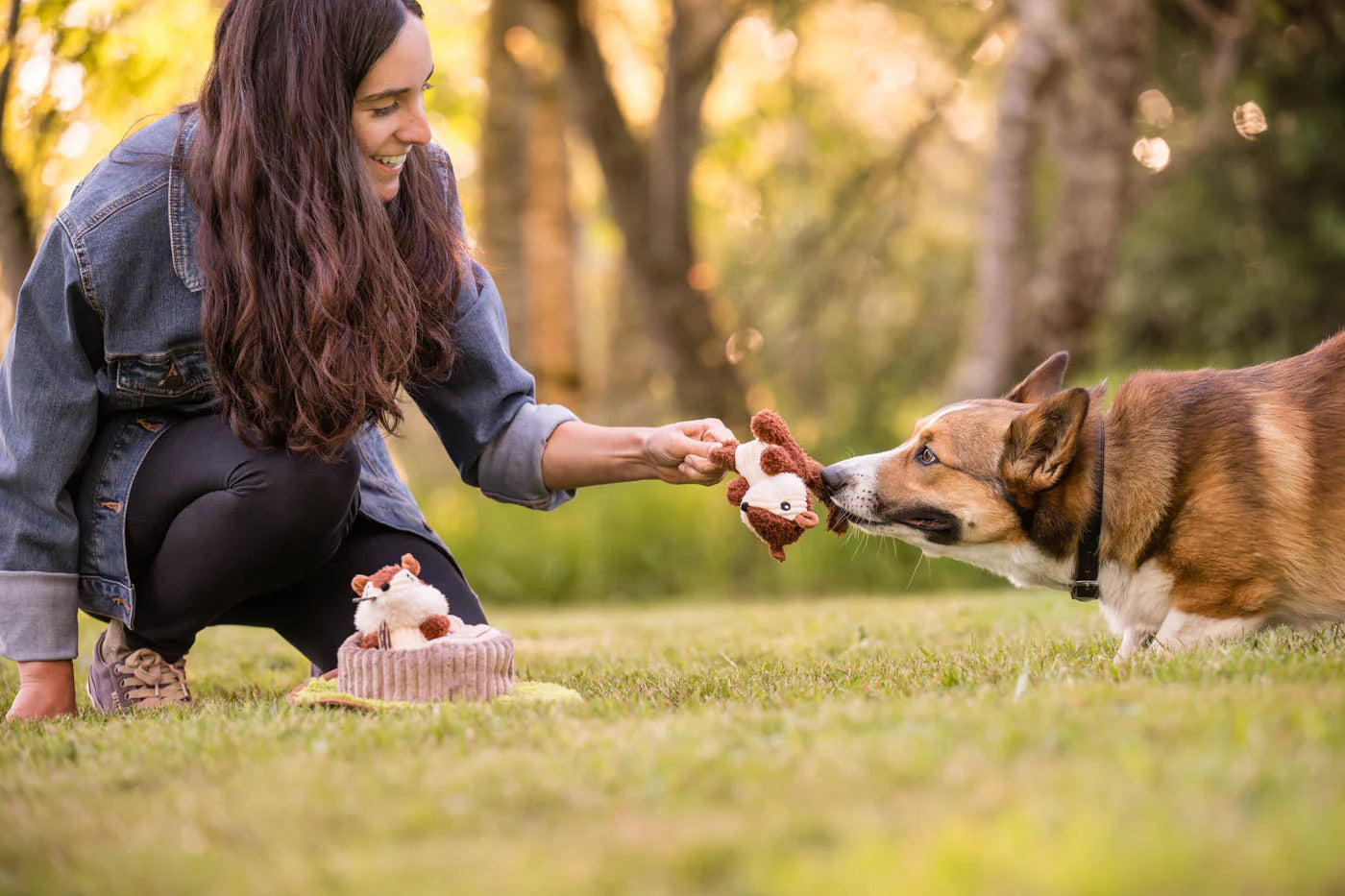 Forest Friends Toys