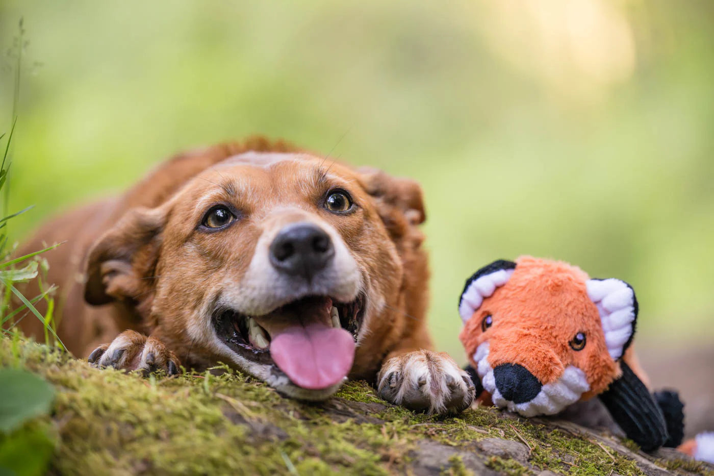 Forest Friends Toys