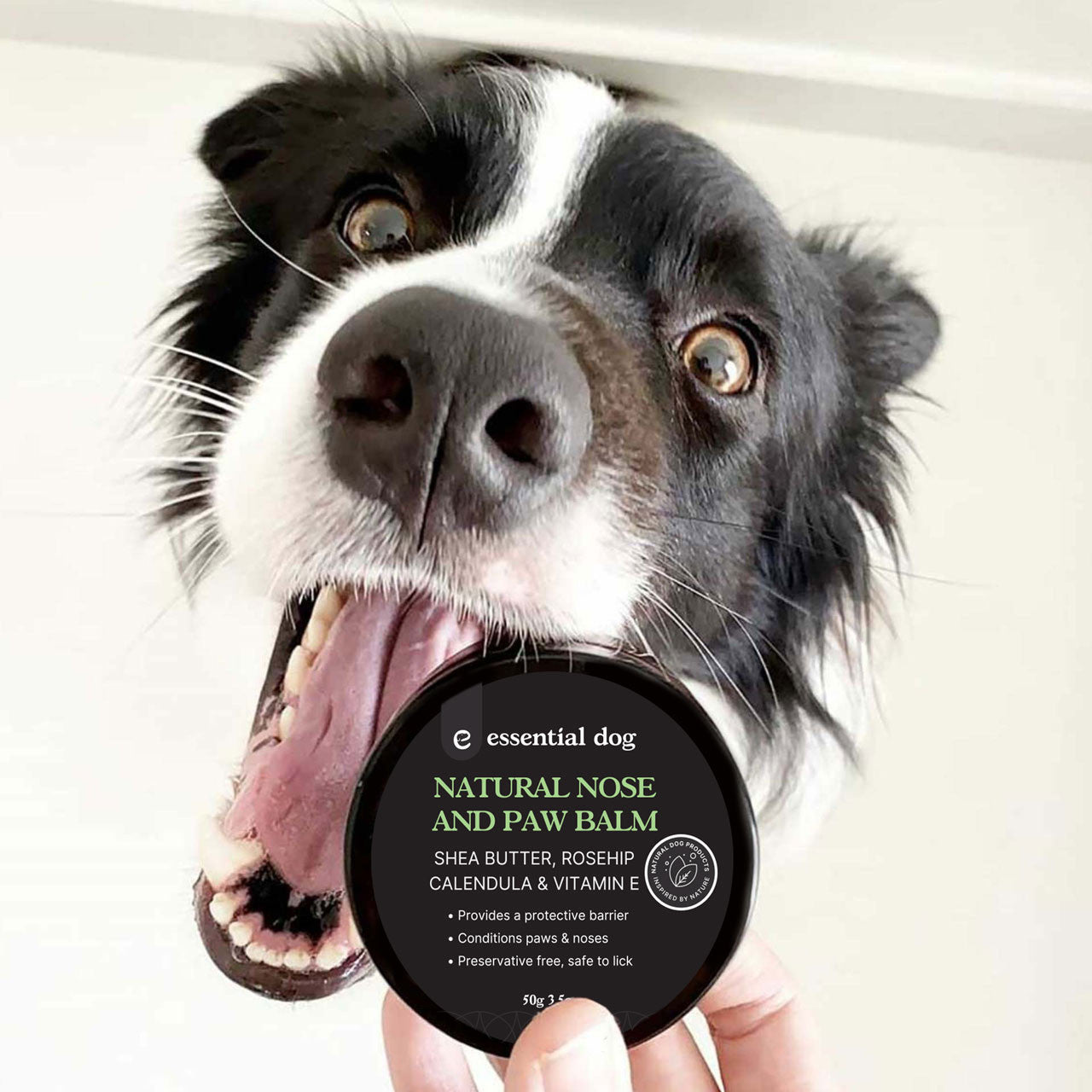 Natural Nose and Paw Balm for Dogs 50g