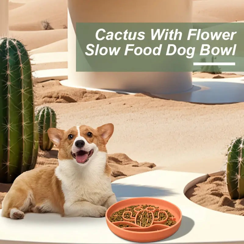 Cactus Shaped 3-in-1 Pet Slow Food Bowl Silicone Licking Mat and Puzzle Feeder