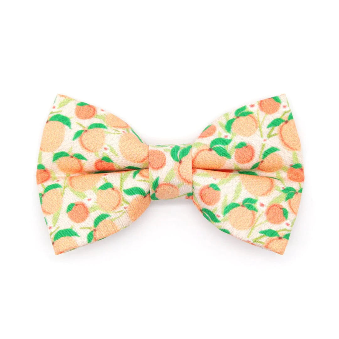 Bow Tie Cat Collar Set - "Just Peachy" - Peach Cat Collar w/ Matching Bowtie / Peaches, Fruit, Spring, Summer / Cat,