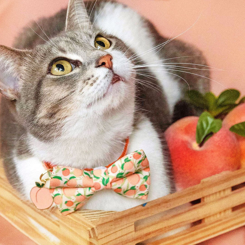 Bow Tie Cat Collar Set - "Just Peachy" - Peach Cat Collar w/ Matching Bowtie / Peaches, Fruit, Spring, Summer / Cat,