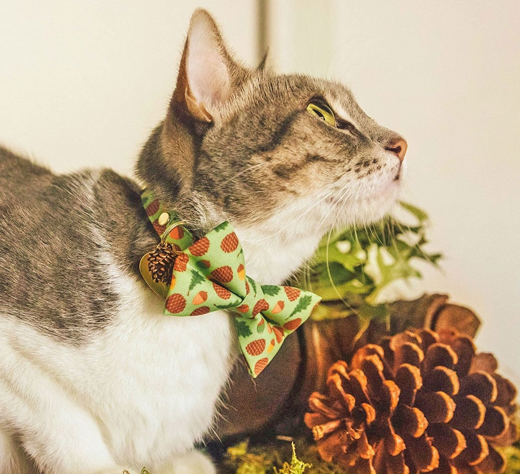 Bow Tie Cat Collar Set - "Woodland - Moss" - Pine Cones & Acorns Forest Green Cat Collar w/ Matching Bowtie / Cat
