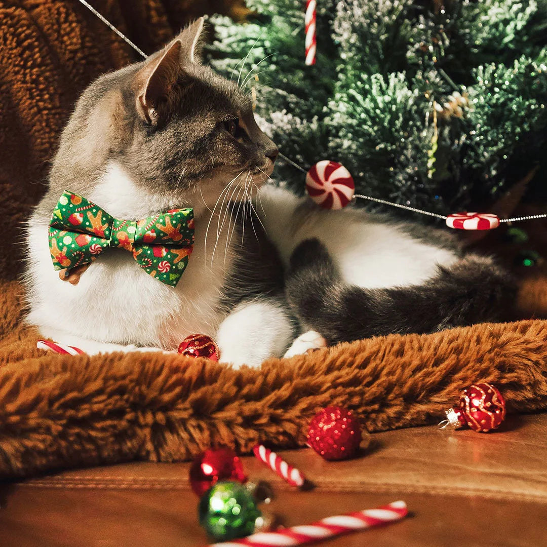 Bow Tie Cat Collar Set - "Christmas Treats - Green" - Gingerbread Holiday Cat Collar w/ Matching Bowtie / Cat