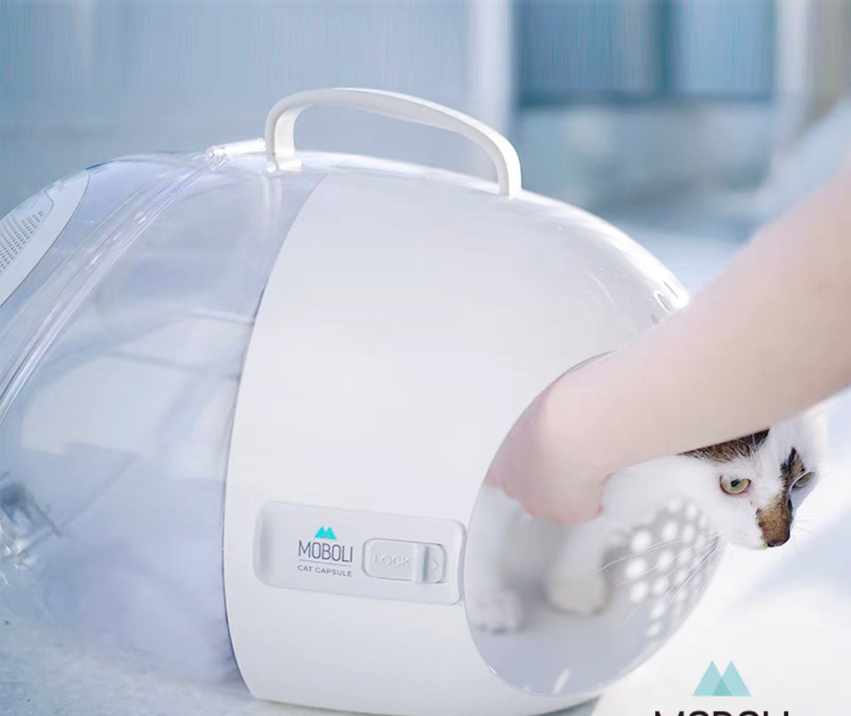 Cat Capsule