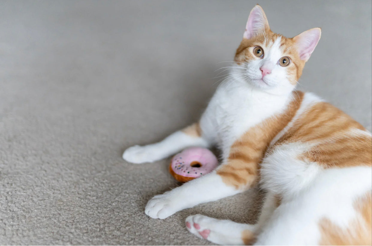 巴士猫薄荷玩具