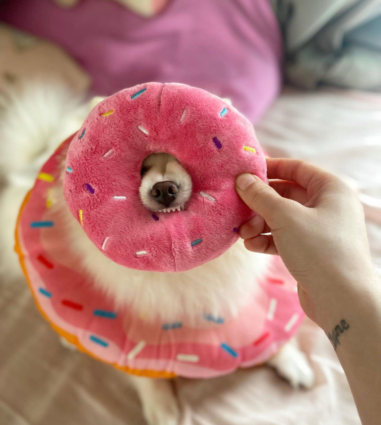 Pup Cup Cafe Collection Toys