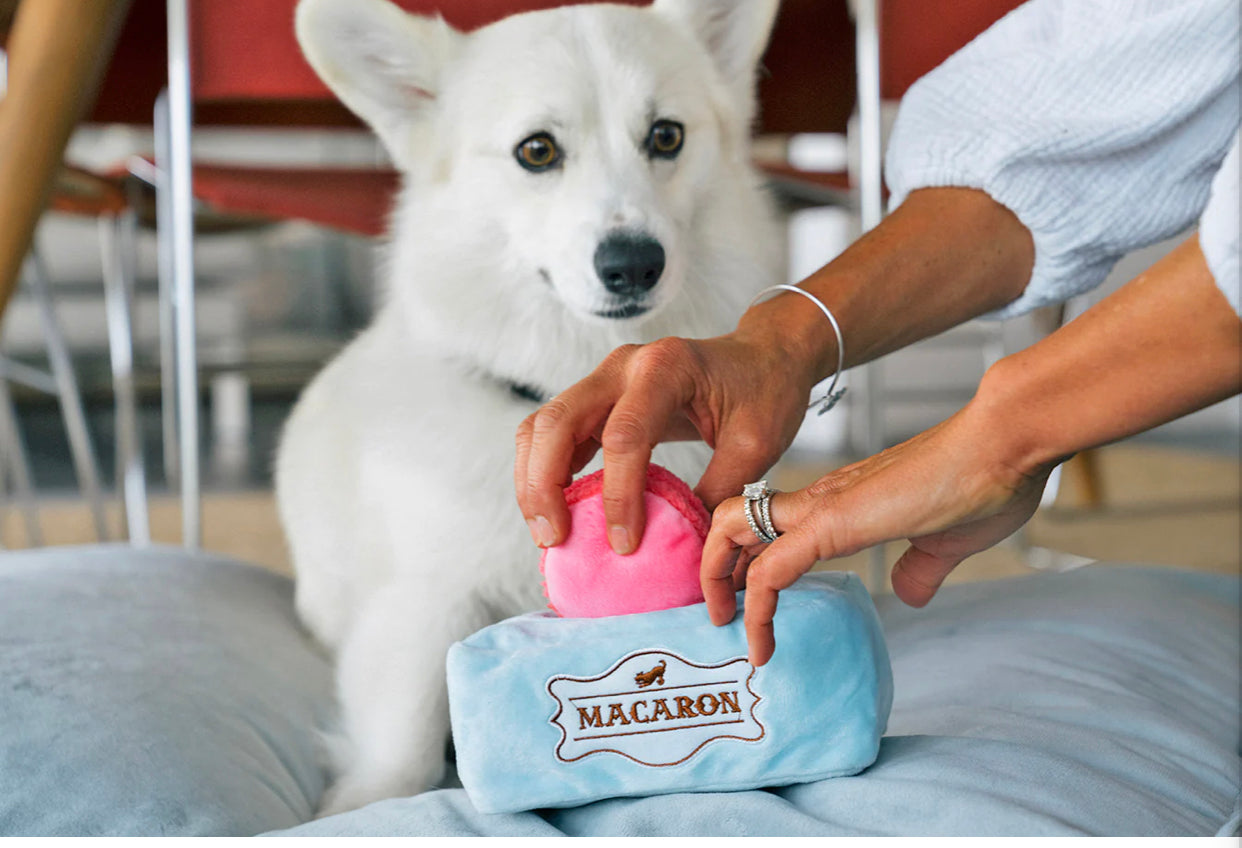 Pup Cup Cafe Collection Toys