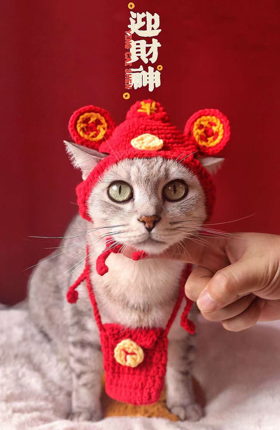Handmade Chinese New Year Hat and Red Pocket