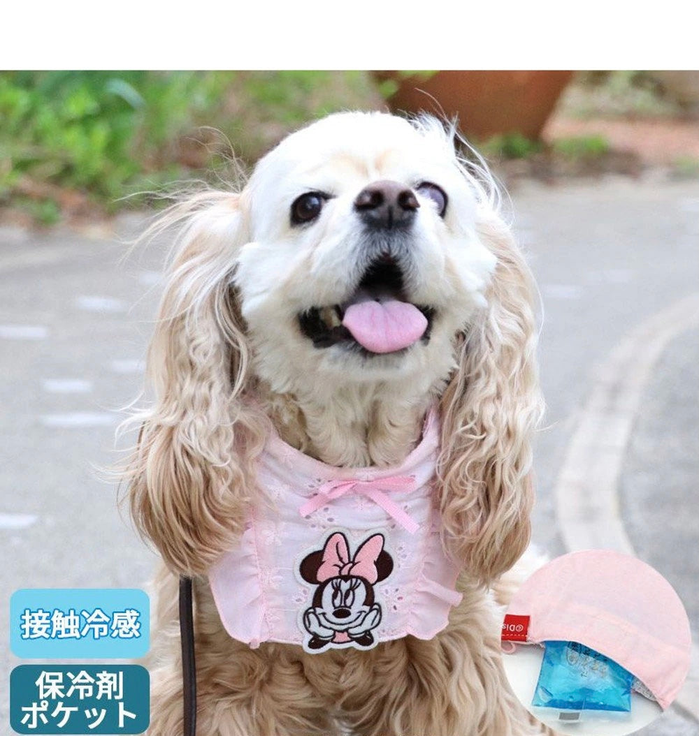 日本头巾