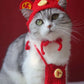 Handmade Chinese New Year Hat and Red Pocket