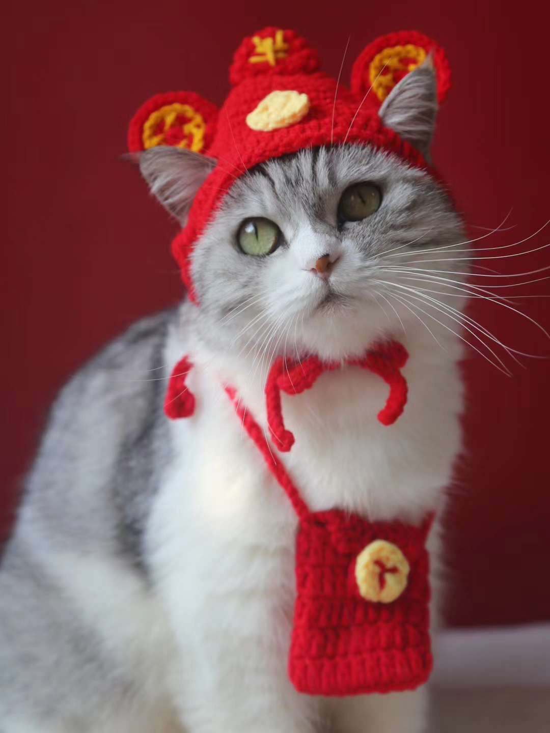 Handmade Chinese New Year Hat and Red Pocket