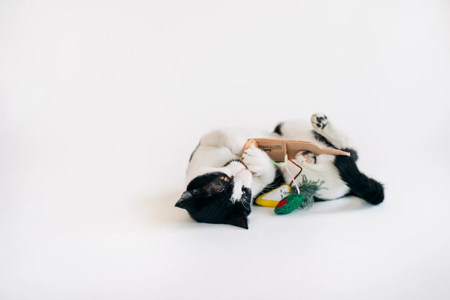 Feline Frenzy Charcuterie Board