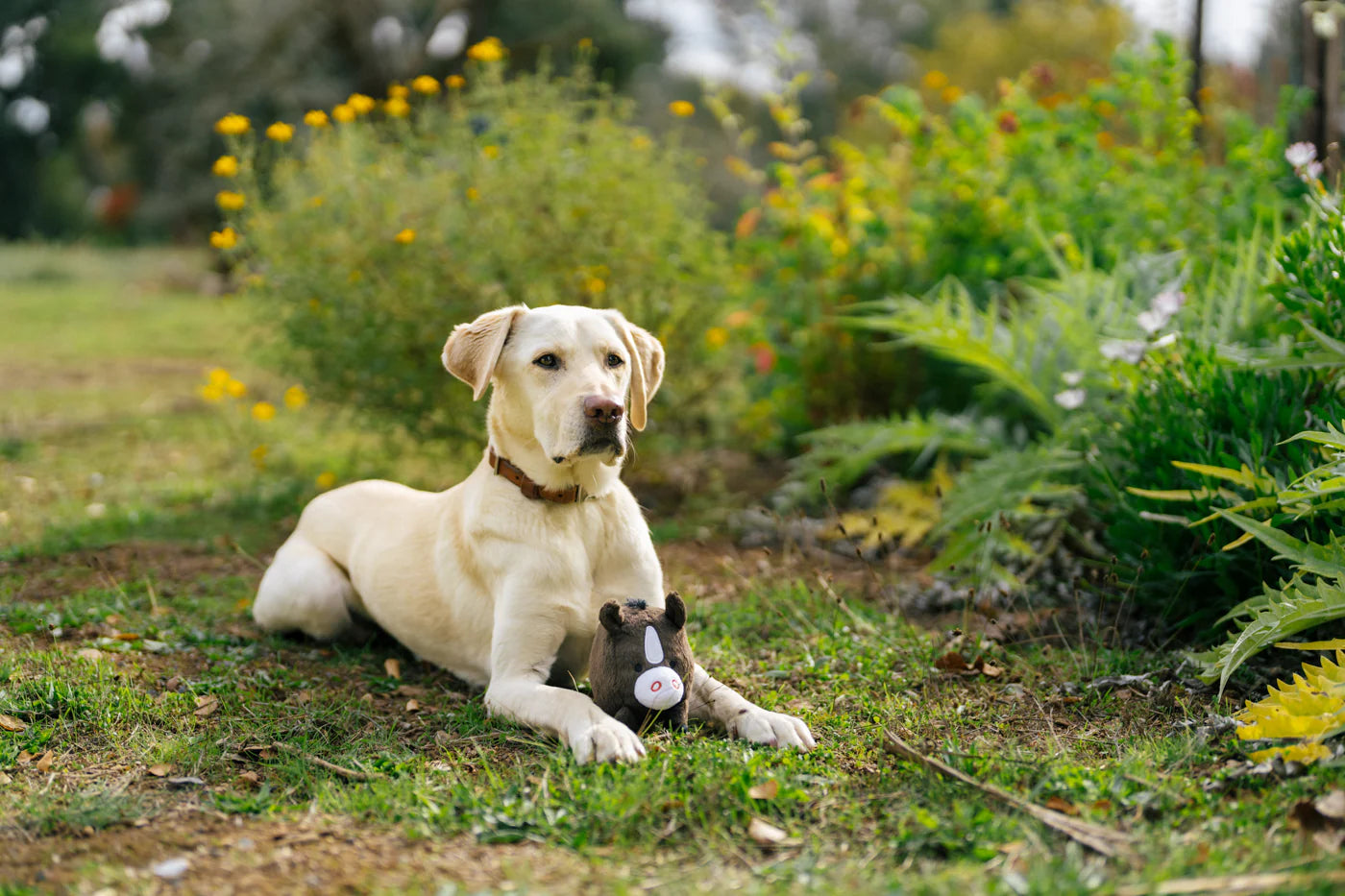 Barnyard Buddies Toys